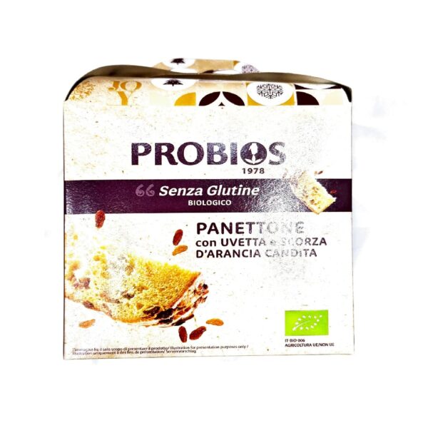 Panettone Senza Glutine con Uvetta e Scorze dArancia Candita - Secondo Natura