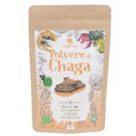 Chaga
